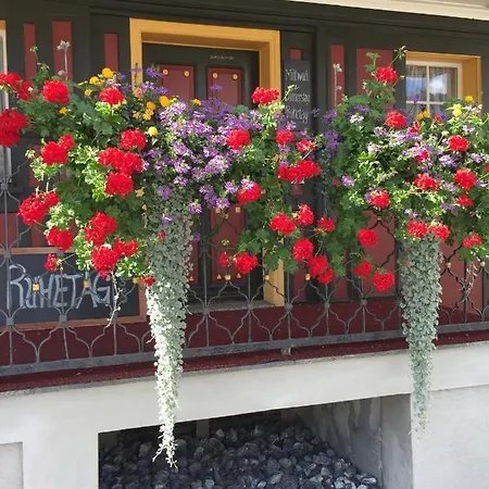 Landgasthof Schaefle Hotel Sankt Peterzell