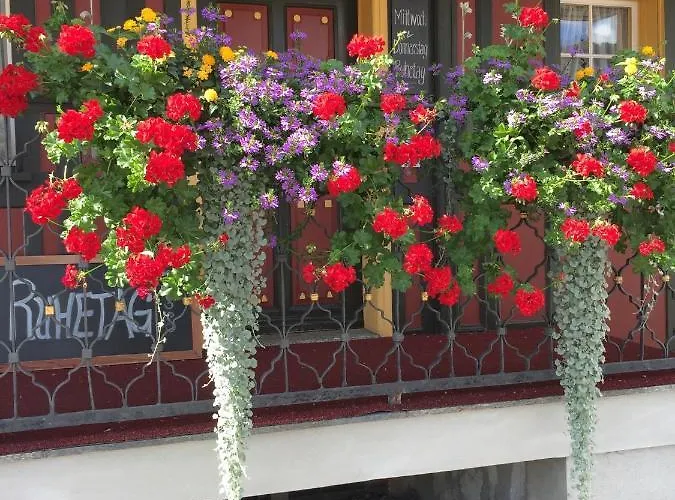 Landgasthof Schaefle فندق Sankt Peterzell