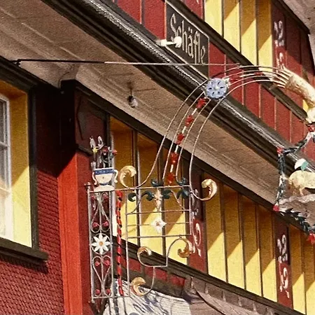 Hotel Landgasthof Schaefle *