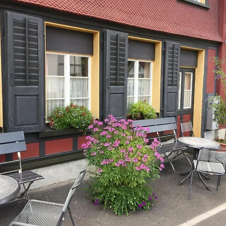 Hotel Landgasthof Schaefle *
