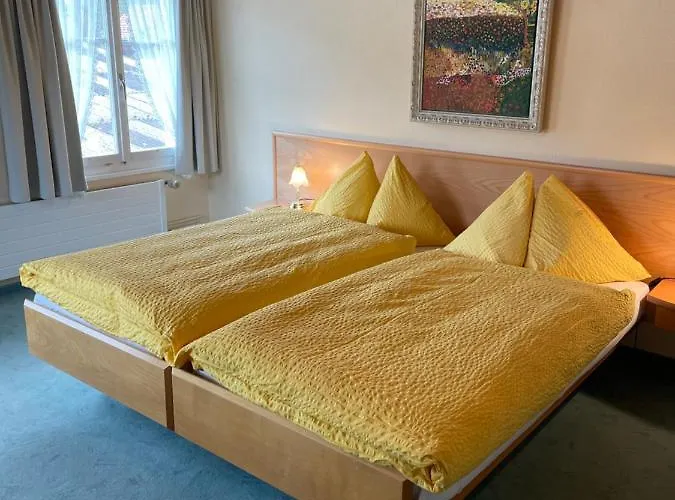 Landgasthof Schaefle Hotel *